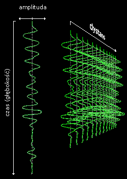 GPR wiggle plot